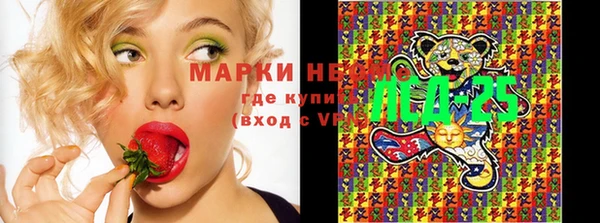 PSILOCYBIN Пролетарск